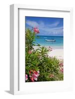 Long Bay and Beach, Antigua, Leeward Islands, West Indies, Caribbean, Central America-Frank Fell-Framed Photographic Print