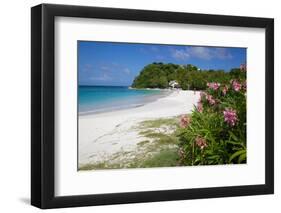 Long Bay and Beach, Antigua, Leeward Islands, West Indies, Caribbean, Central America-Frank Fell-Framed Photographic Print