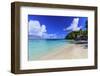 Long Bay Beach, beautiful soft white sand, turquoise sea, palm trees, Antigua-Eleanor Scriven-Framed Photographic Print