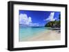 Long Bay Beach, beautiful soft white sand, turquoise sea, palm trees, Antigua-Eleanor Scriven-Framed Photographic Print