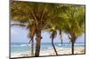 Long Bay, East Coast, Portland Parish, Jamaica, West Indies, Caribbean, Central America-Doug Pearson-Mounted Photographic Print