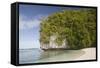 Long Beach at Rock Islands-Reinhard Dirscherl-Framed Stretched Canvas