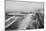 Long Beach, California Rainbow Pier And Ocean Blvd. Photograph - Long Beach, CA-null-Mounted Poster