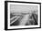 Long Beach, California Rainbow Pier and Ocean Blvd. Photograph - Long Beach, CA-Lantern Press-Framed Art Print