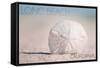 Long Beach, California - Sand Dollar and Beach-Lantern Press-Framed Stretched Canvas