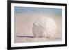 Long Beach, California - Sand Dollar and Beach-Lantern Press-Framed Art Print