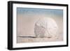 Long Beach Island - Sand Dollar-Lantern Press-Framed Art Print