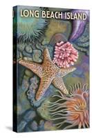 Long Beach Island - Tidepool-Lantern Press-Stretched Canvas