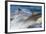 Long-Beaked Common Dolphin Porpoising at Speed-null-Framed Photographic Print