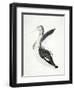 Long Billed Bird-Stellar Design Studio-Framed Art Print
