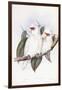 Long-Billed Cockatoo-John Gould-Framed Giclee Print