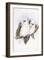 Long-Billed Cockatoo-John Gould-Framed Giclee Print