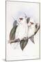 Long-Billed Cockatoo-John Gould-Mounted Giclee Print