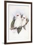 Long-Billed Cockatoo-John Gould-Framed Giclee Print