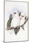 Long-Billed Cockatoo-John Gould-Mounted Premium Giclee Print