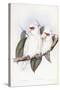 Long-Billed Cockatoo-John Gould-Stretched Canvas