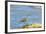 Long-Billed Curlew (Numenius Americanus) on Playa Guiones Beach at Nosara-Rob Francis-Framed Photographic Print