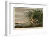 Long-Billed Curlew-John James Audubon-Framed Giclee Print