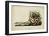 Long-billed Curlew-John James Audubon-Framed Art Print