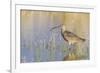 Long-billed Curlew-Ken Archer-Framed Premium Photographic Print