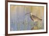 Long-billed Curlew-Ken Archer-Framed Premium Photographic Print