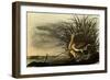 Long-Billed Curlews-John James Audubon-Framed Giclee Print