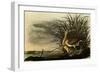 Long-Billed Curlews-John James Audubon-Framed Giclee Print