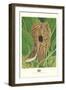 Long-Billed Marsh Wren-null-Framed Art Print