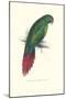 Long Billed Parakeet Macaw Enicogaathus Leptorhynchus Araucaria-Edward Lear-Mounted Art Print