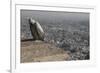 Long-Billed Vulture (Gyps Indicus)-Bernard Castelein-Framed Photographic Print