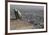 Long-Billed Vulture (Gyps Indicus)-Bernard Castelein-Framed Photographic Print