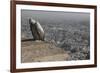 Long-Billed Vulture (Gyps Indicus)-Bernard Castelein-Framed Photographic Print