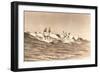 Long Board Surfers off California-null-Framed Art Print