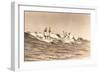 Long Board Surfers off California-null-Framed Art Print