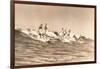Long Board Surfers off California-null-Framed Art Print