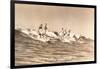 Long Board Surfers off California-null-Framed Art Print