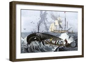 Long Boat Crew Harpooning a Whale-null-Framed Giclee Print