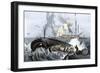 Long Boat Crew Harpooning a Whale-null-Framed Giclee Print