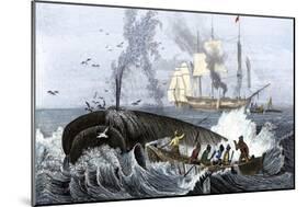 Long Boat Crew Harpooning a Whale-null-Mounted Giclee Print