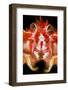 Long-Clawed Squat Lobster (Munida Rugosa) Portrait, Loch Fyne, Argyll and Bute, Scotland, UK, June-Alex Mustard-Framed Photographic Print