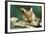 Long-Eared Bat Close-Up-null-Framed Photographic Print