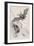 Long-Eared Bat (Plectorus Auritu), 1828-null-Framed Giclee Print