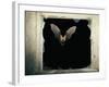 Long Eared Bat-null-Framed Photographic Print