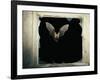 Long Eared Bat-null-Framed Photographic Print