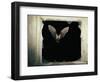 Long Eared Bat-null-Framed Photographic Print