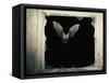 Long Eared Bat-null-Framed Stretched Canvas