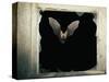 Long Eared Bat-null-Stretched Canvas