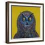 Long-Eared Owl, 1996-Tamas Galambos-Framed Giclee Print