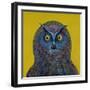 Long-Eared Owl, 1996-Tamas Galambos-Framed Giclee Print