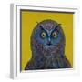 Long-Eared Owl, 1996-Tamas Galambos-Framed Giclee Print